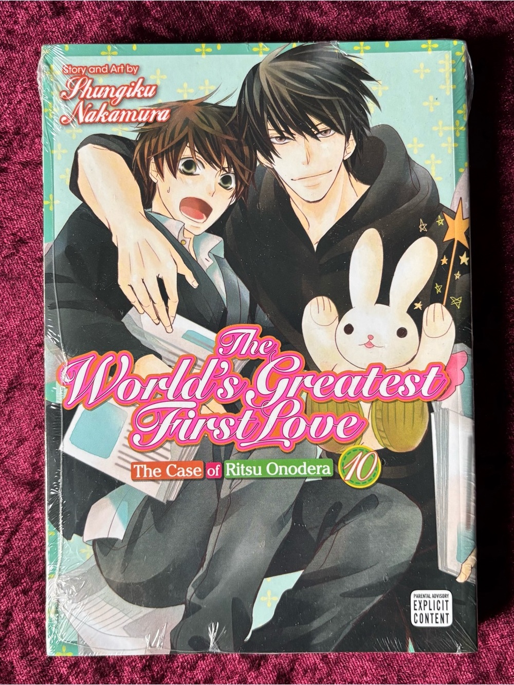 The World's Greatest First Love Vol.10 manga